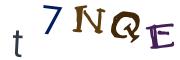 圖片的 CAPTCHA