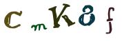 圖片的 CAPTCHA