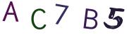 圖片的 CAPTCHA