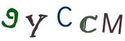 圖片的 CAPTCHA