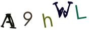 圖片的 CAPTCHA