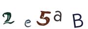 圖片的 CAPTCHA