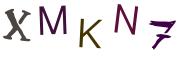 圖片的 CAPTCHA