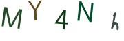 圖片的 CAPTCHA