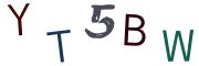 圖片的 CAPTCHA