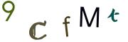 圖片的 CAPTCHA