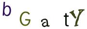 圖片的 CAPTCHA