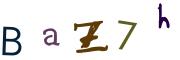 圖片的 CAPTCHA