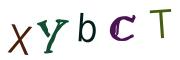 圖片的 CAPTCHA