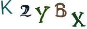 圖片的 CAPTCHA