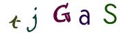 圖片的 CAPTCHA