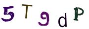 圖片的 CAPTCHA