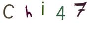 圖片的 CAPTCHA
