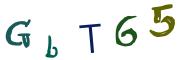 圖片的 CAPTCHA