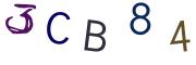 圖片的 CAPTCHA