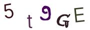 圖片的 CAPTCHA