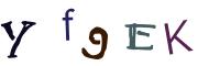 圖片的 CAPTCHA