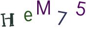 圖片的 CAPTCHA
