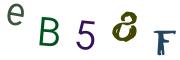 圖片的 CAPTCHA