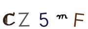 圖片的 CAPTCHA