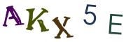 圖片的 CAPTCHA