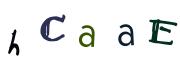 圖片的 CAPTCHA