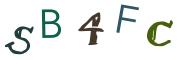 圖片的 CAPTCHA