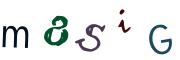 圖片的 CAPTCHA