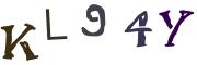 圖片的 CAPTCHA