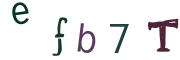 圖片的 CAPTCHA