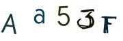 圖片的 CAPTCHA