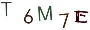 圖片的 CAPTCHA