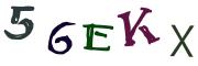 圖片的 CAPTCHA