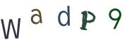 圖片的 CAPTCHA