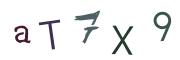 圖片的 CAPTCHA