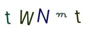 圖片的 CAPTCHA