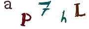 圖片的 CAPTCHA
