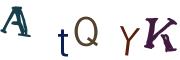 圖片的 CAPTCHA