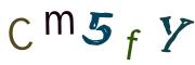圖片的 CAPTCHA