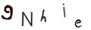 圖片的 CAPTCHA