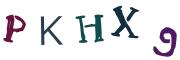 圖片的 CAPTCHA
