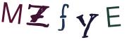 圖片的 CAPTCHA