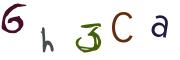 圖片的 CAPTCHA