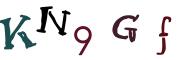 圖片的 CAPTCHA