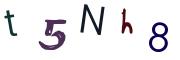 圖片的 CAPTCHA