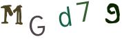圖片的 CAPTCHA