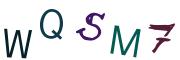 圖片的 CAPTCHA